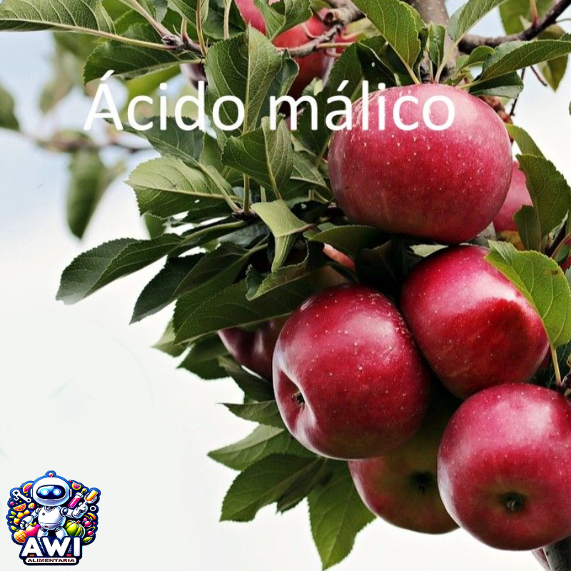 ADITIVO ACIDO MALICO E-296 (25 Kg.)